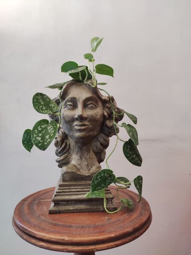 Vazonas - skulptūra, moters galva