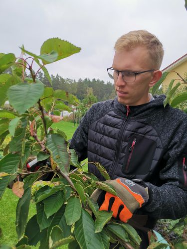 Sodo priežiūra vienose rankose