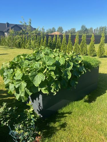 Metalinė pakelta daržovių lysvė, matinės pilkos spalvos, 170x85x63 cm