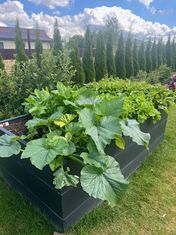 Metalinė pakelta daržovių lysvė, matinės pilkos spalvos, 170x85x63 cm