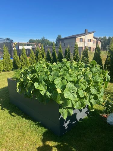 Metalinė pakelta daržovių lysvė, matinės pilkos spalvos, 170x85x63 cm