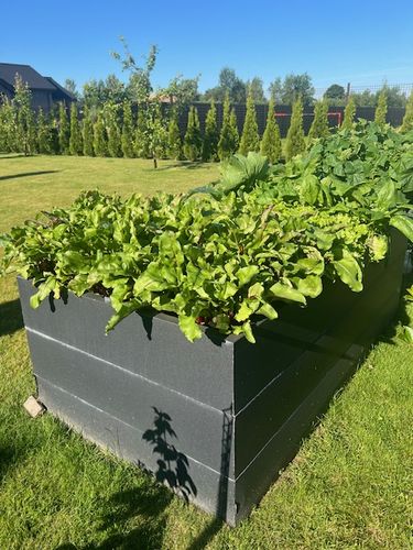 Metalinė pakelta daržovių lysvė, matinės pilkos spalvos, 170x85x63 cm