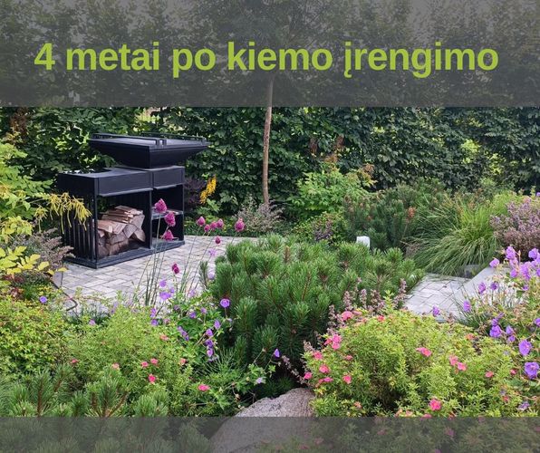Apželdinimo projektai, konsultacijos, apželdinimo darbai